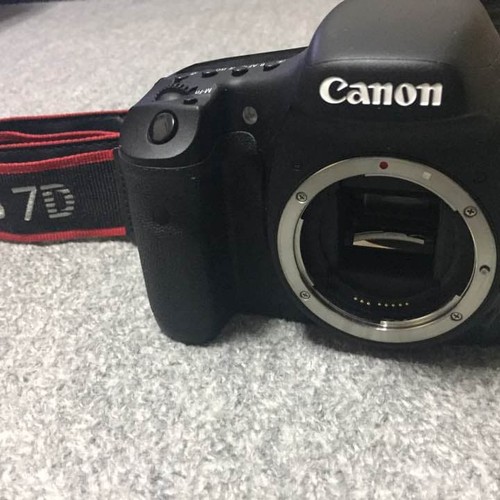 Articolo canon - articolo, 7d: