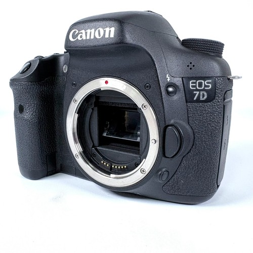 Videocamera professionale