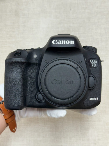 Canon eos mark 20 2 - ii, 20,2